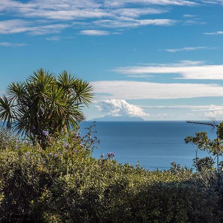 Belle View - Stay Waiheke Onetangi Екстериор снимка